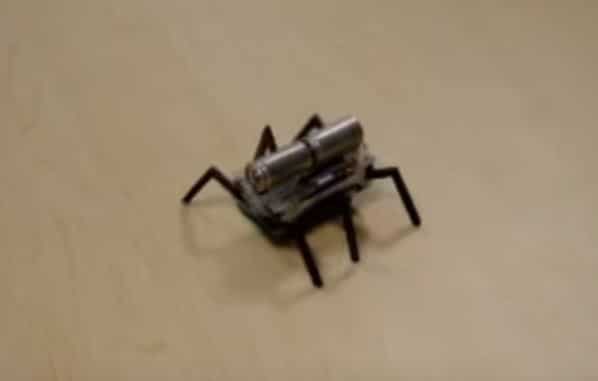 Nano Muscle Nitinol Walking Bug